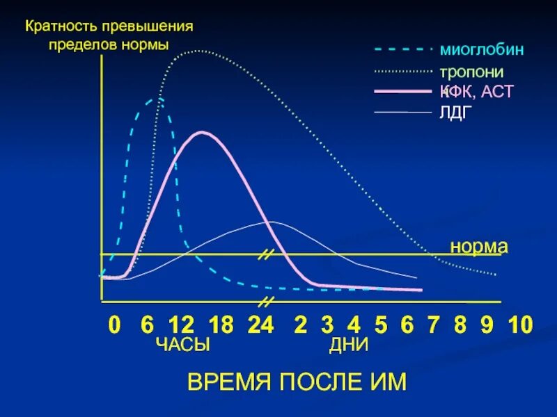 Тропонин норма у мужчин. Динамика тропонина при инфаркте миокарда. Тропонин миоглобин КФК АСТ инфаркт миокарда. Тропонин норма и при инфаркте миокарда. Уровень миоглобина при инфаркте.