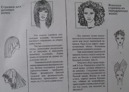 Технология стрижки шегги