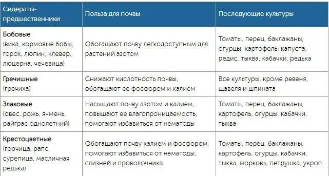 Сидерат летом какой лучше. Сидераты после томатов. Таблица сидератов и культур. Сидераты таблица. Таблица сидератов под культуры.