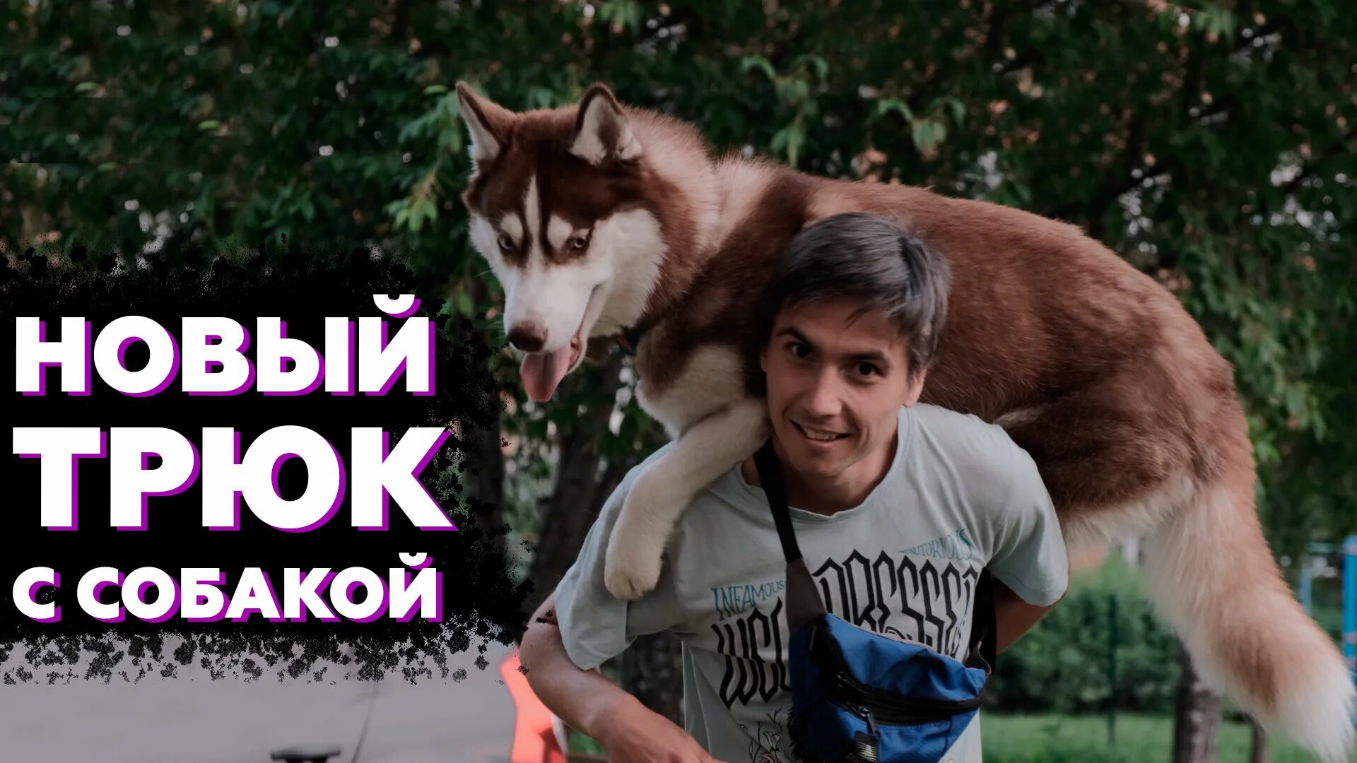 Как научить хаску