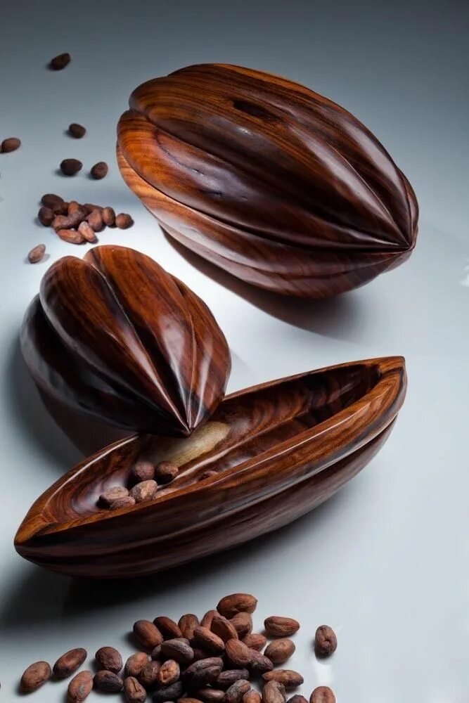 Зерна шоколада. Семена дерева теоброма какао. Какао Бобы. Шоколад какао Бобы. Свежесрезанные Бобы какао.