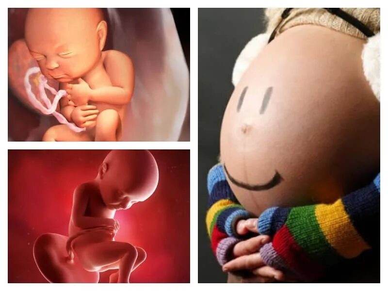32 неделя беременности что происходит с малышом. Малыш в 32 недели беременности в животе. Малыш на 32 неделе беременности. Плод на 32 неделе беременности. Малыш на 32 неделе беременности в животике.