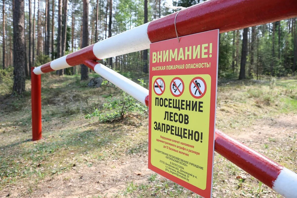Запрет на посещение лесов в свердловской. Посещение лесов запрещено. шлагбаум в лесу. ограничение посещения лесов. запрет на посещение лесов.