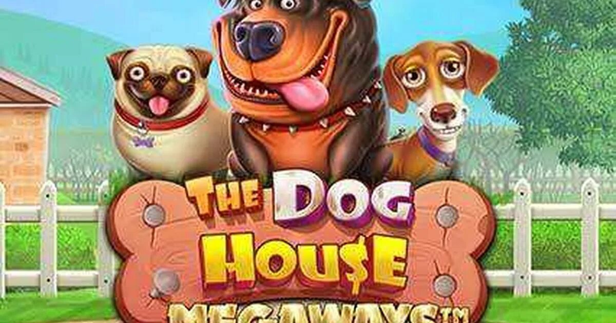 Dog House megaways. Dog House Slot. Doghouse слот. Doghouse казино. Dog house demo megaways дог хаус