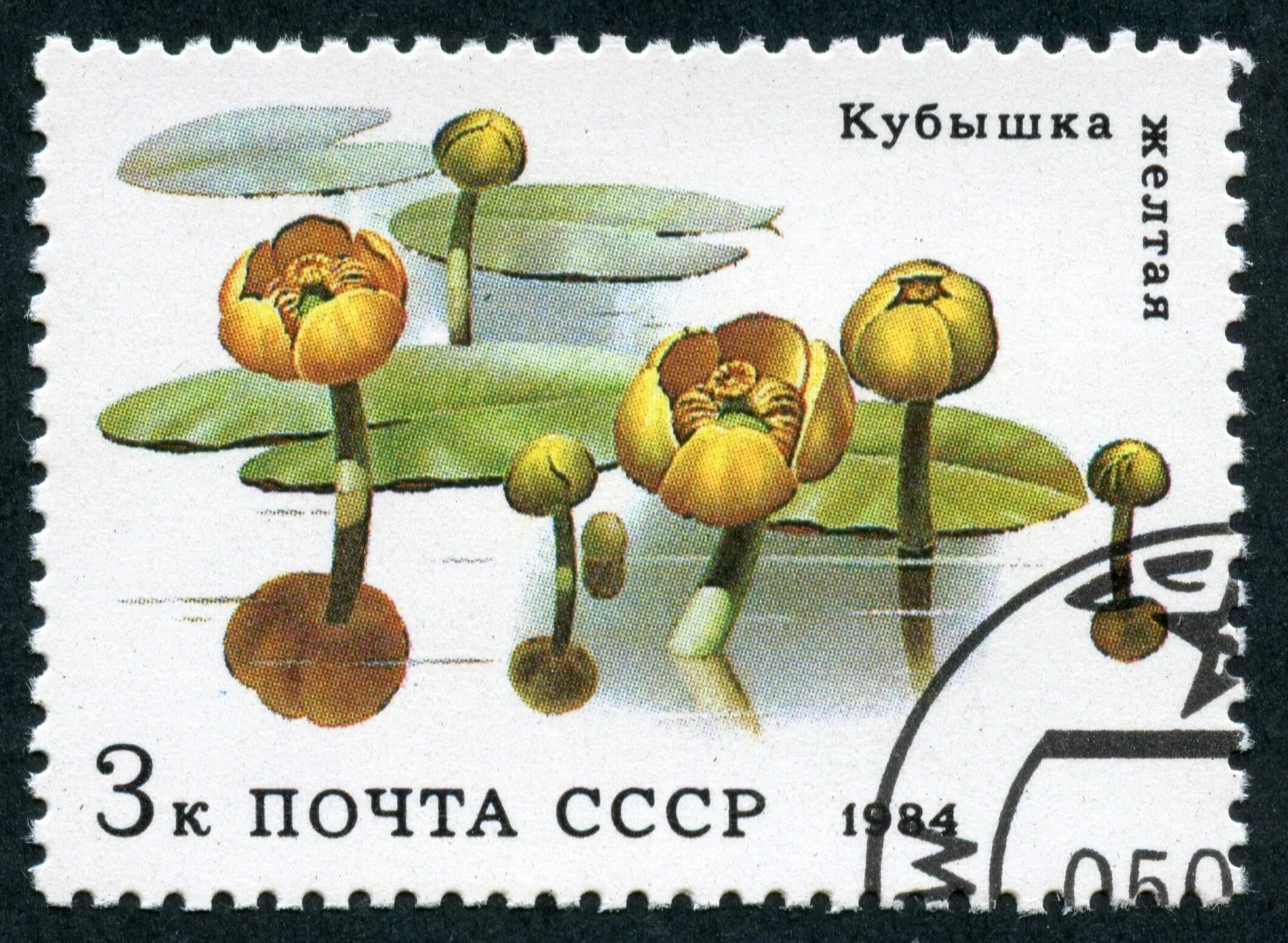Как найти кубышку