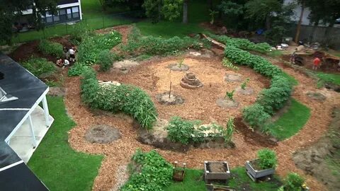 Black Garden For That Permaculture Paradise Edgewood Gardens August Update.