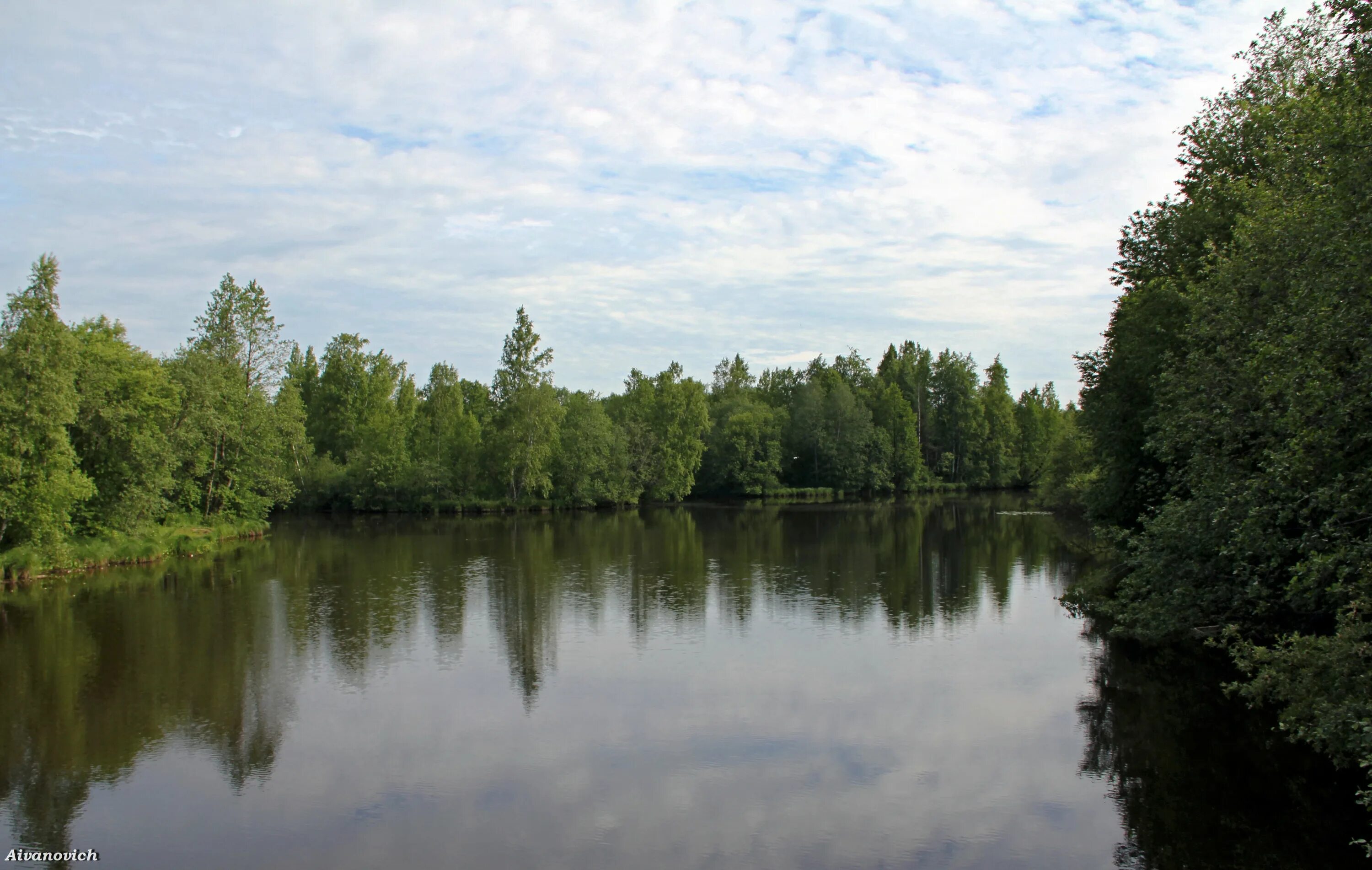 Сестра (приток дубны). Река сестра ленинградская область рыбалка. Обл. Река сестра клин. Река сестра ленинградская.