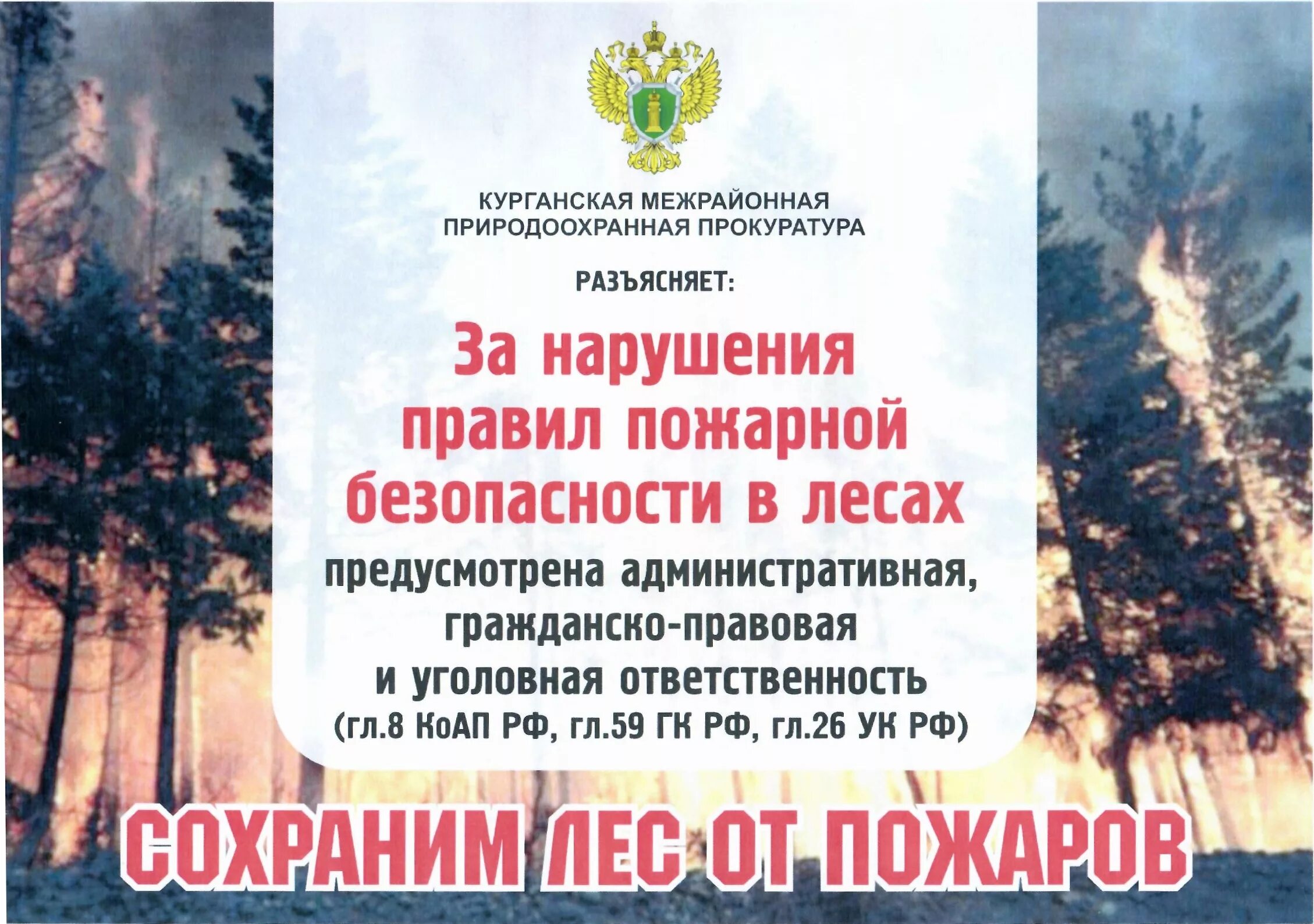 Нарушение правил пожарной безопасности коап. Пожарная безопасность в лесу. Безопасность лесов от пожа. Нарушение противопожарных правил в лесах. Нарушение правил пожарной безопасности в лесу.