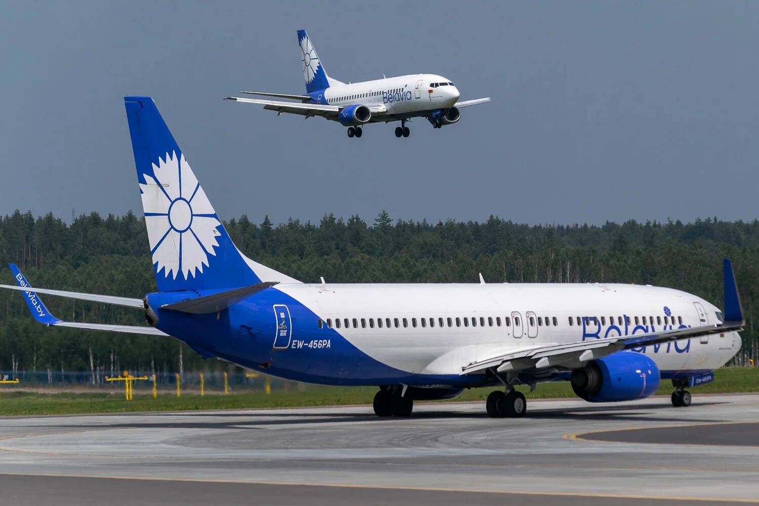 Belavia airlines. 737-800 Belavia. Авиакомпания Белавиа самолеты. Белавиа самолет в Минске. Боинг Белавиа.