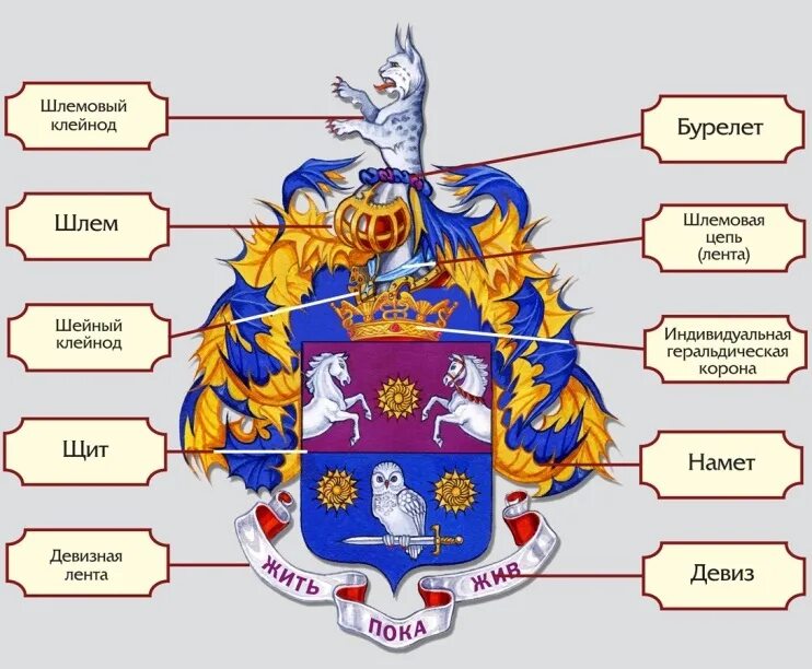 Части герба. Строение герба. Структура герба. Составные части герба. Выберите основные элементы герба
