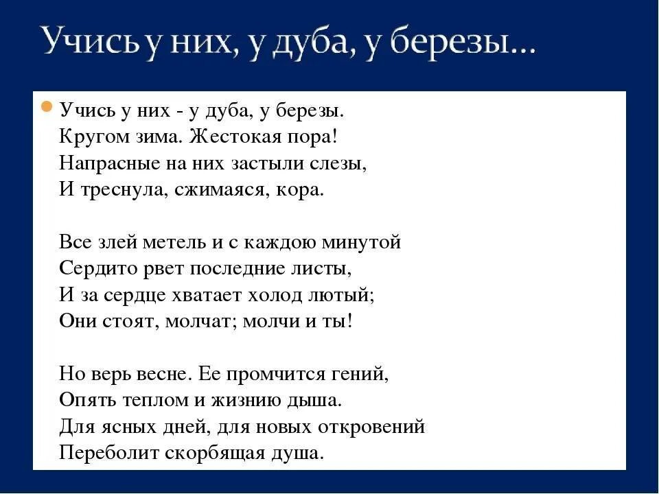 Анализ стихотворения учись у них фет. Учись у них у дуба у березы Фет. У дуба у березы Фет. Стихотворение у дуба у березы. Учись у дуба у березы Фет.