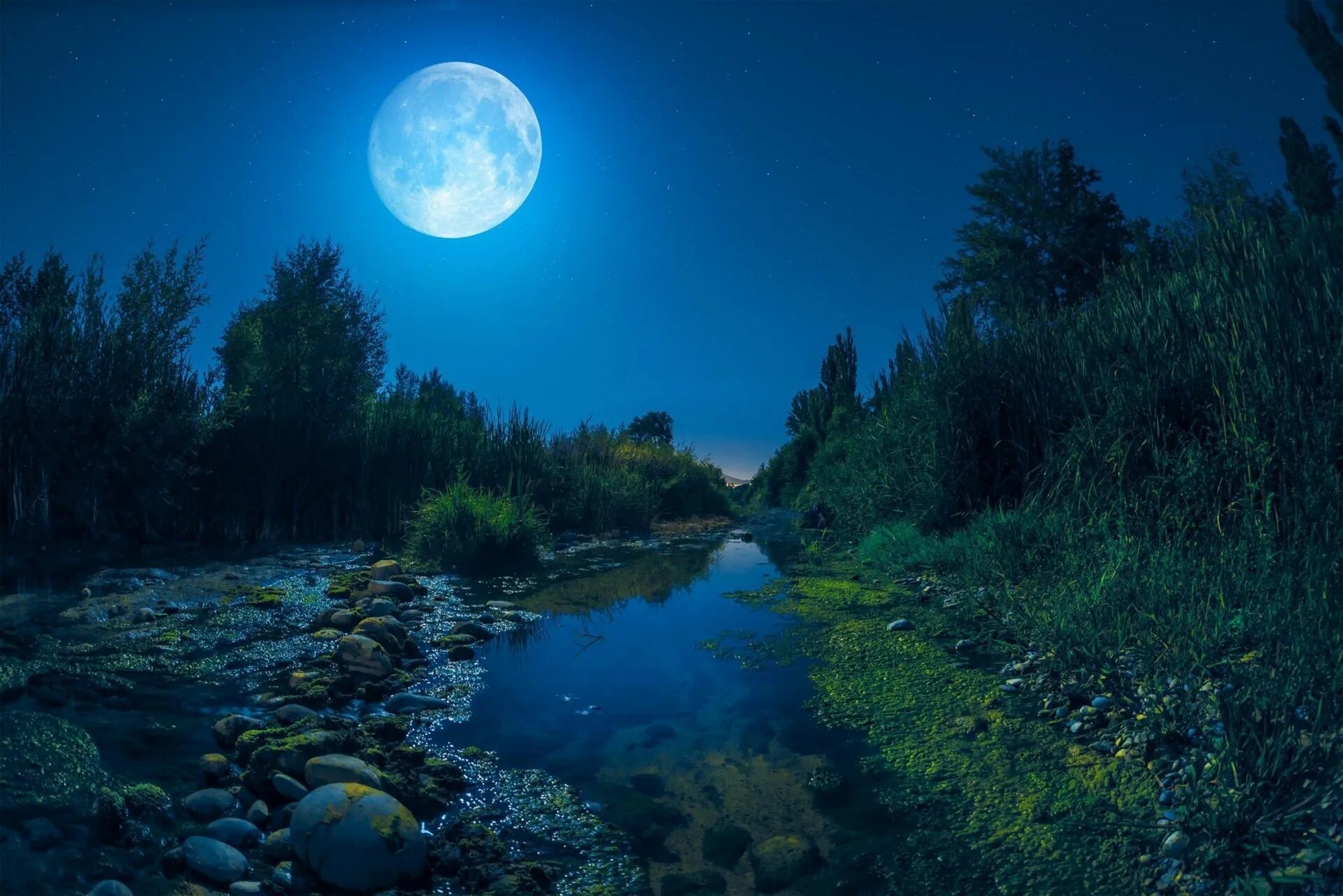 Картинки на ночь. Ночная природа. Ночной пейзаж. Лунная ночь. Природа ночью.