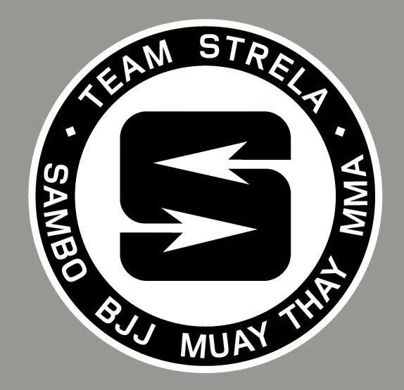 Official team. Team strela BJJ. Strela Team кофта. Team strela Petra BJJ, Санкт-Петербург. Team strela Иркутск.