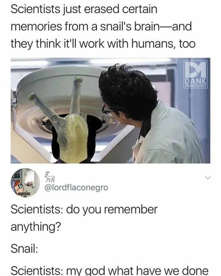 Scientist have found that there is. Scientist have found that there is