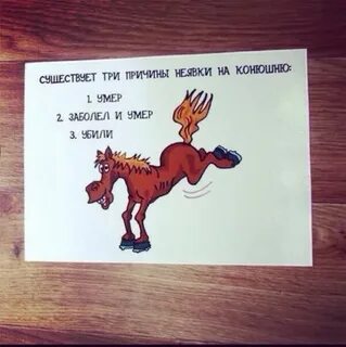 Лошадь проверочное
