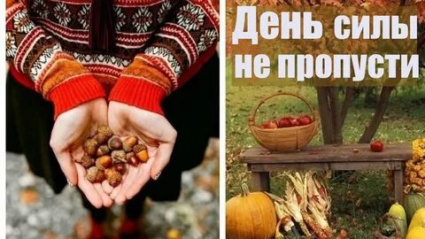Когда случаются сухие дни осенью