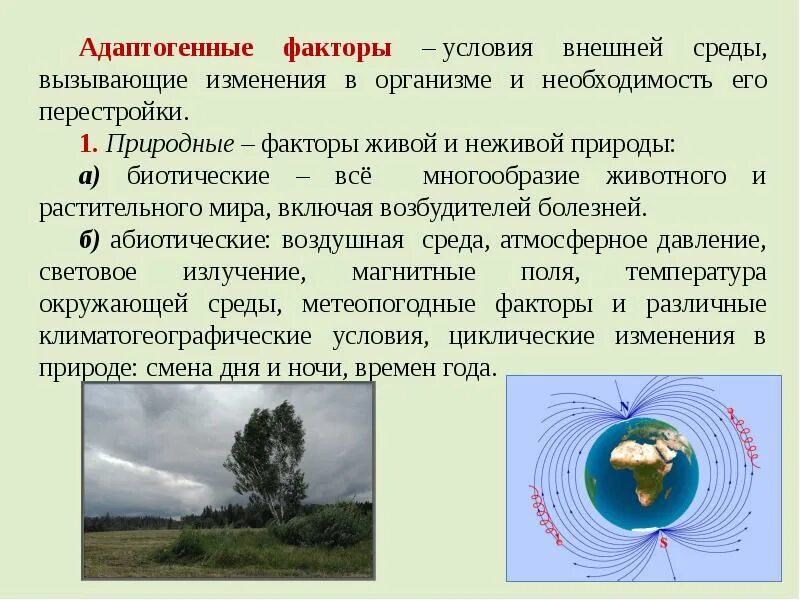 Какое дополнительное внешнее условие