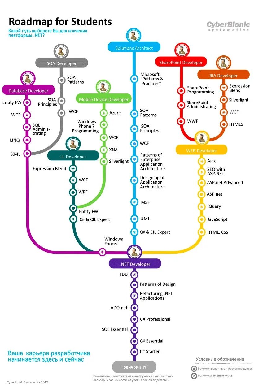 Road map c. Roadmap c# разработчика. roadmap для .net разработчика. roadmap для c# программиста. дорожная карта c# разработчика.