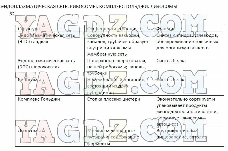 Практическая работа по биологии 9 класс кожа. Гдз биология 9 класс Пасечник. РТ по биологии 9 класс Пасечник. Биология 9 класс Пасечник эндоплазматическая сеть рибосомы таблица. Биология 9 класс Пасечник таблица по теме рибосомы.