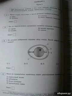 Рохлов варианты 2023 ответы