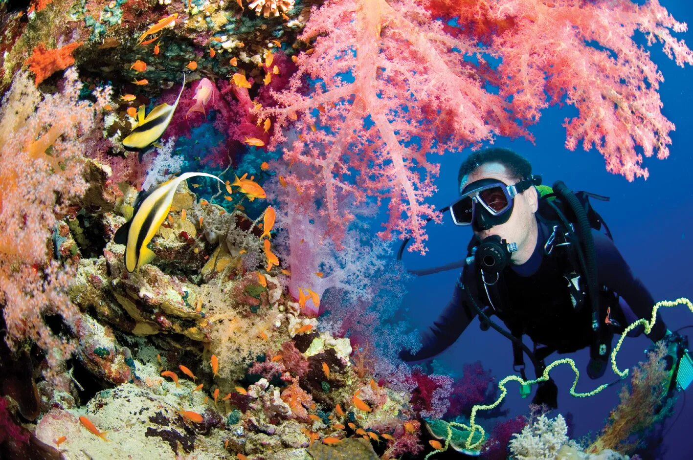 Reef tourism. Коралловый риф красное море аквалангист. Шарм-Эль-Шейх акваланг. Морской заповедник Жак-Ив-Кусто.