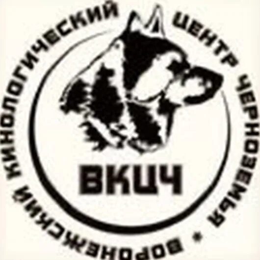 Центр кинологической службы воронеж. Черноземье кинологический воронеж. Самарский областной кинологический центр. Кинолог воронеж. Центр кинологической службы воронеж.