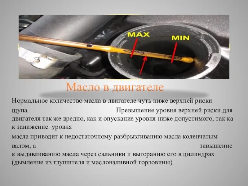 Проверить масло в газели. Уровень масла Газель 4216. Уровень масла в двигателе УМЗ 4216. Уровень масла Газель Некст. Щуп измерения уровня масла Газель Некст.