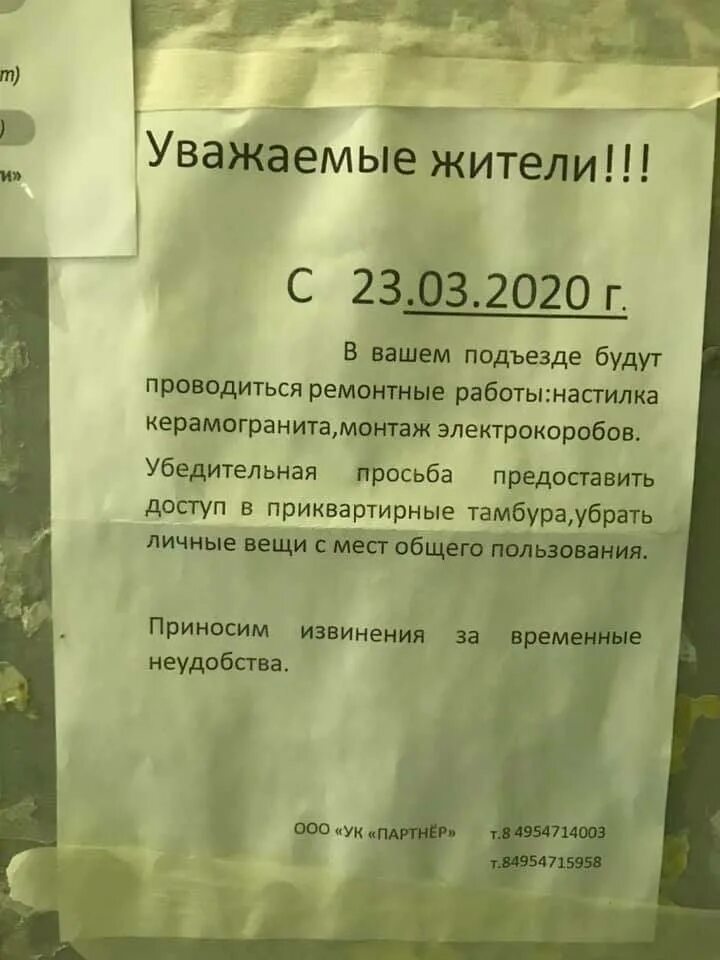 Соседи не живут в квартире. Объявление для жителей. Объявления в подъезде. Объявление о ремонте в подъезде. Объявление о проведении ремонтных работ.