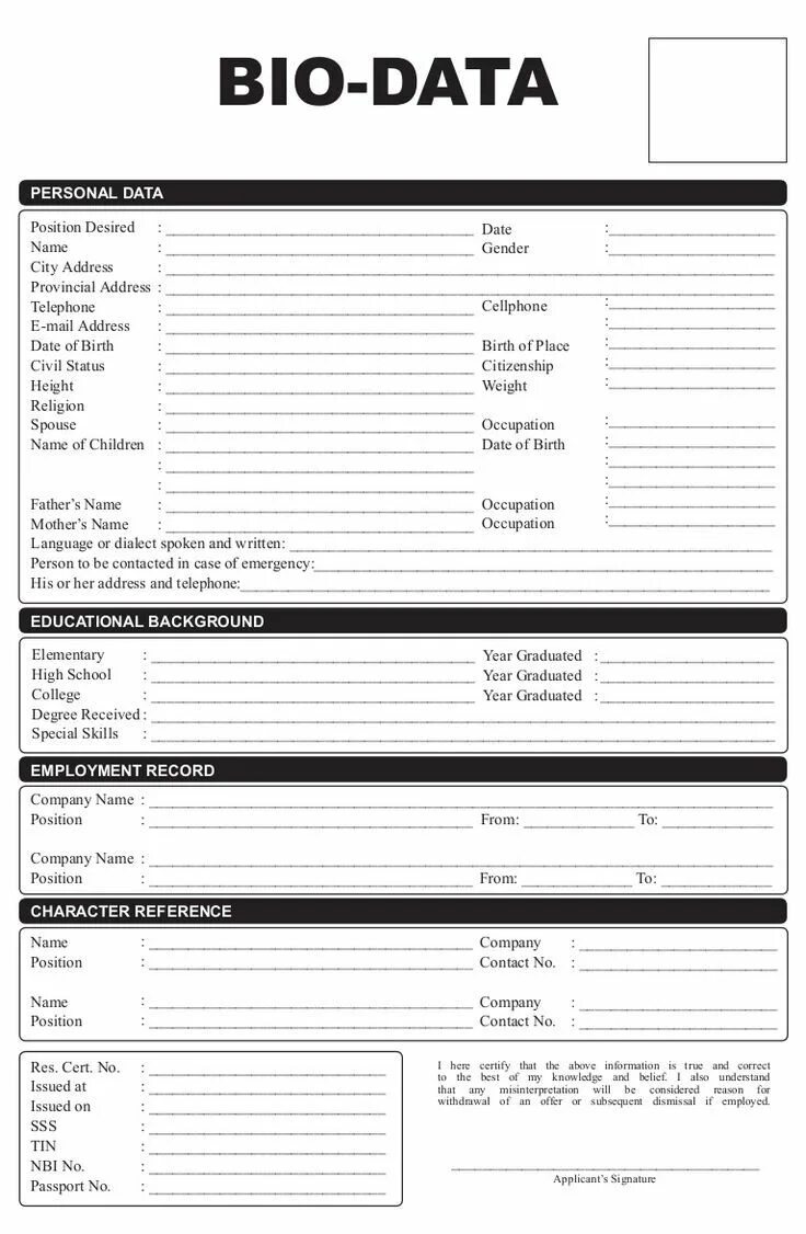 System data format. Cv bio data. cv bio data образец. референс лист персонажа. personal data forms.