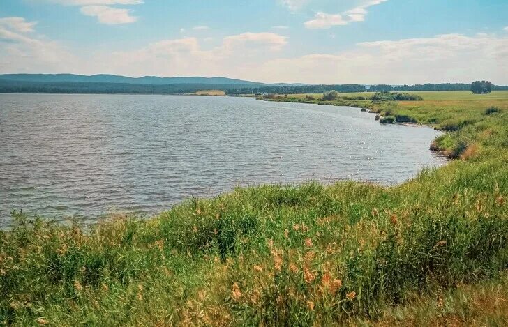 Озеро танай кемеровская. Танаев пруд кемеровской. Озеро танай. Озеро танай кемеровская область. Танаев пруд кемеровской.