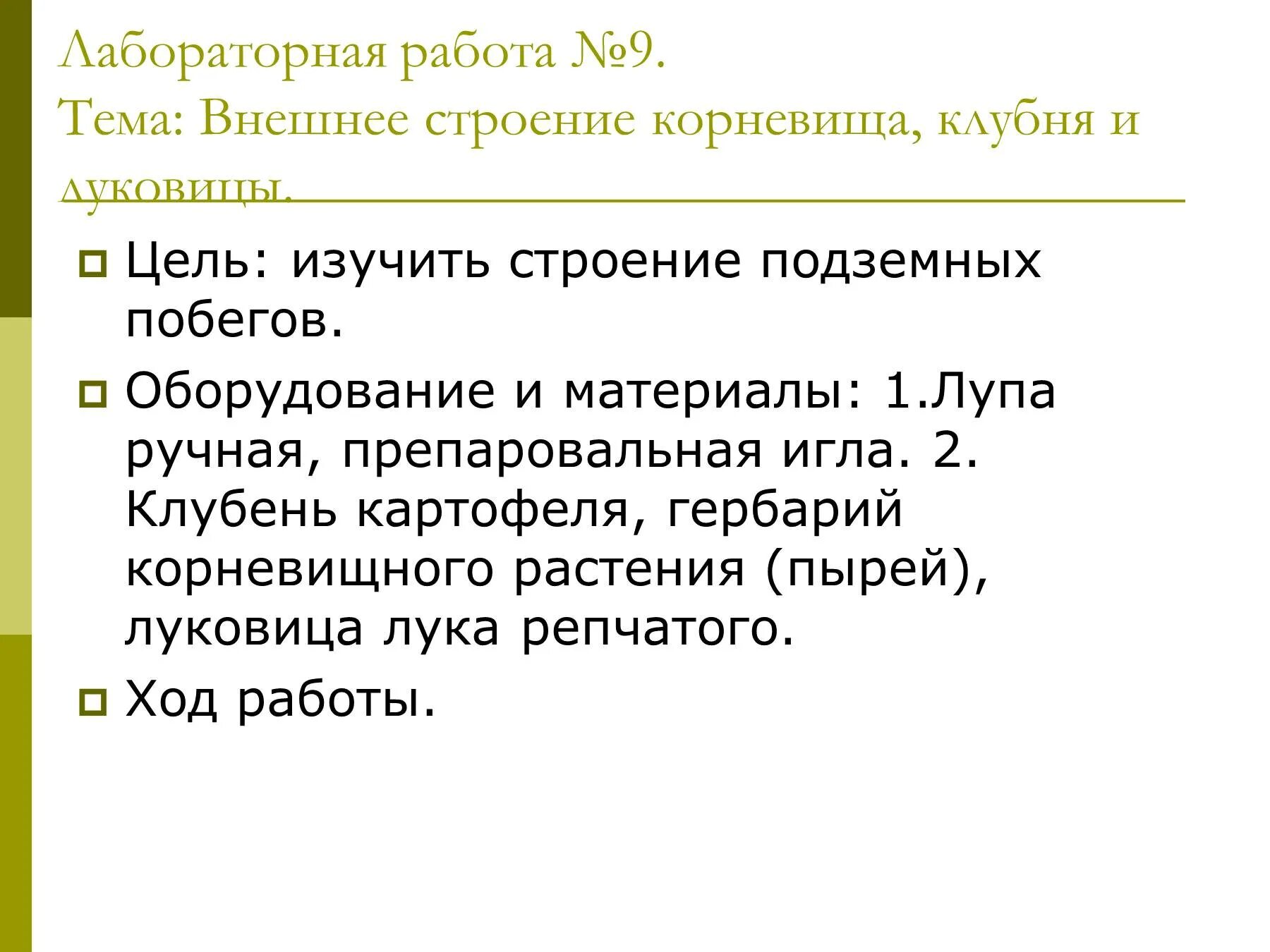 Клубни корневища луковицы лабораторная работа. Лабораторная работа строение клубня корневища. Внешнее строение луковицы лабораторная работа. Лабораторная работа строение луковицы клубня корневища. Лабораторная работа 5 изучение строения корневища, клубня, луковицы.