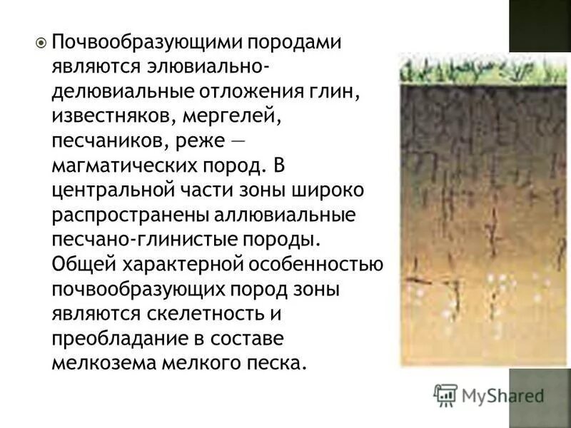 какие почвы называют тяжелыми. почвенная оболочка земли.