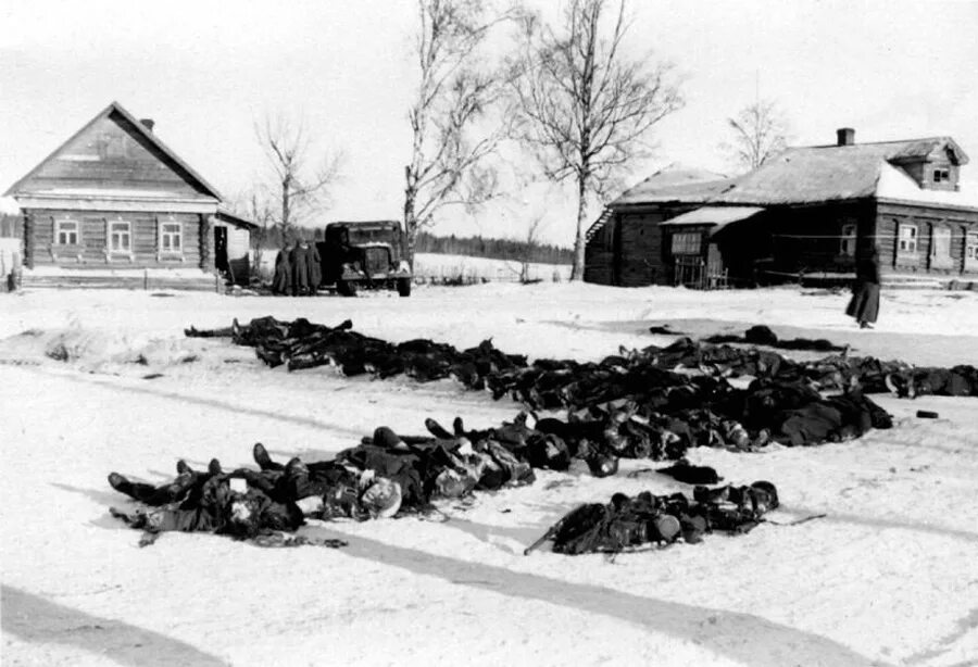 Деревня в годы войны 1941-1945. Немцы в деревне зима 1941. Деревня Петрищево 1941 год.