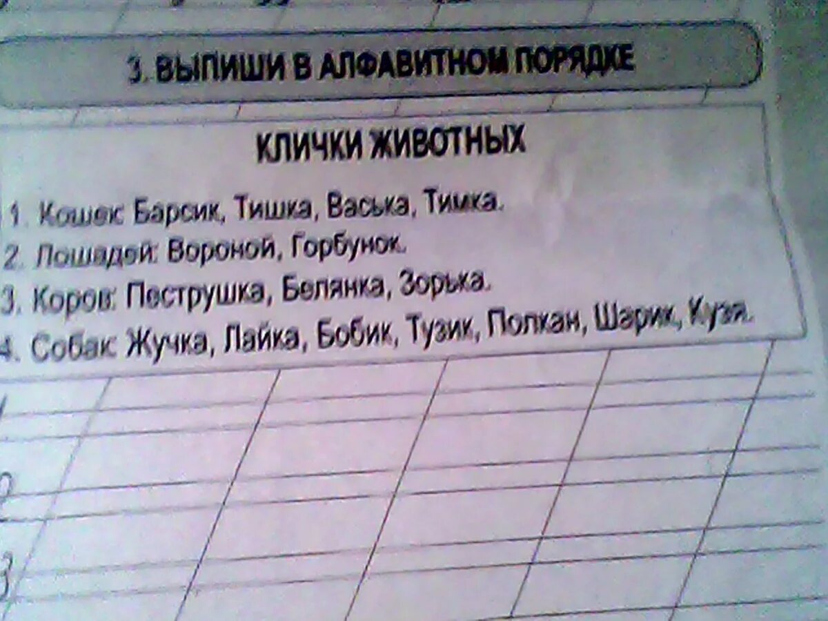 Расставь имена одноклассниц в алфавитном порядке. Клички животных в книгах. Клички животных в алфавитном порядке. Клички животные из книг. Клички питомцев из книг.