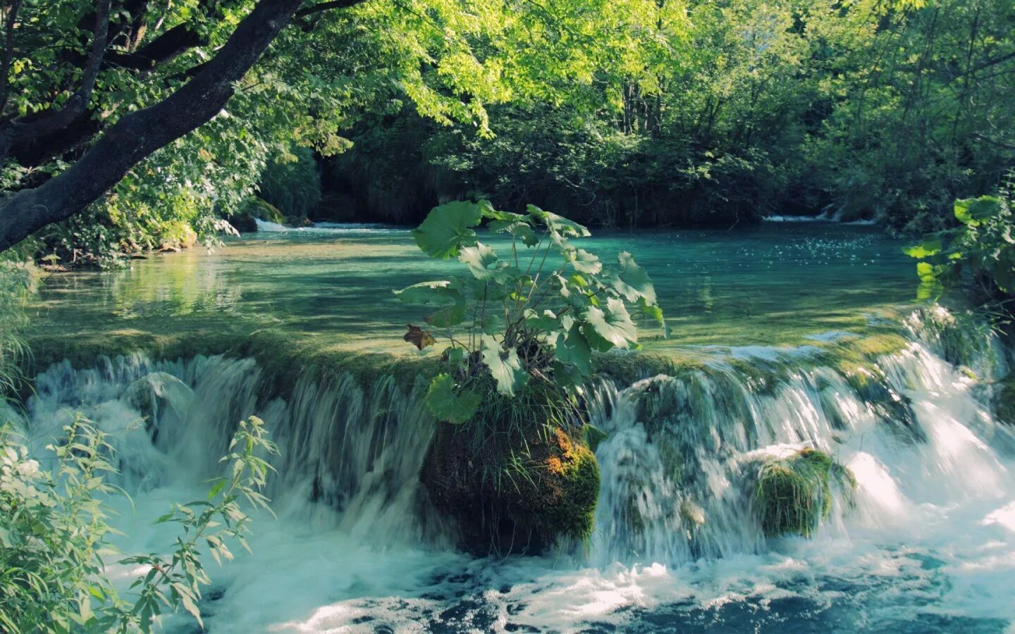 Лучшее видео живых. Красивые водопады. Водопад у озера. Природа лето вода. Летний водопад.