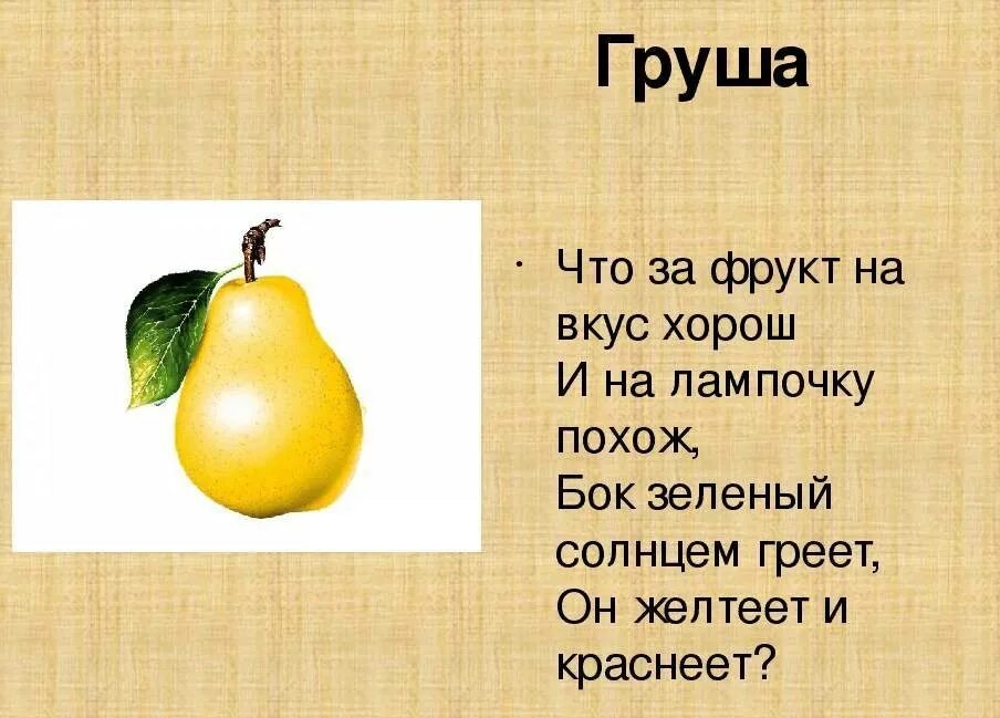 Груша для презентации. Интересные факты о груше для детей. Текст про грушу. Груша культурное растение. Загадка про грушу для дошкольников.