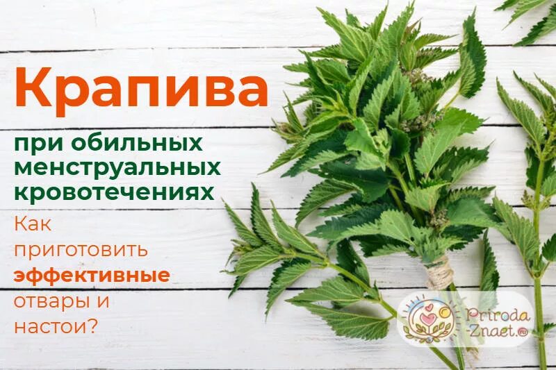 Какую траву при месячных