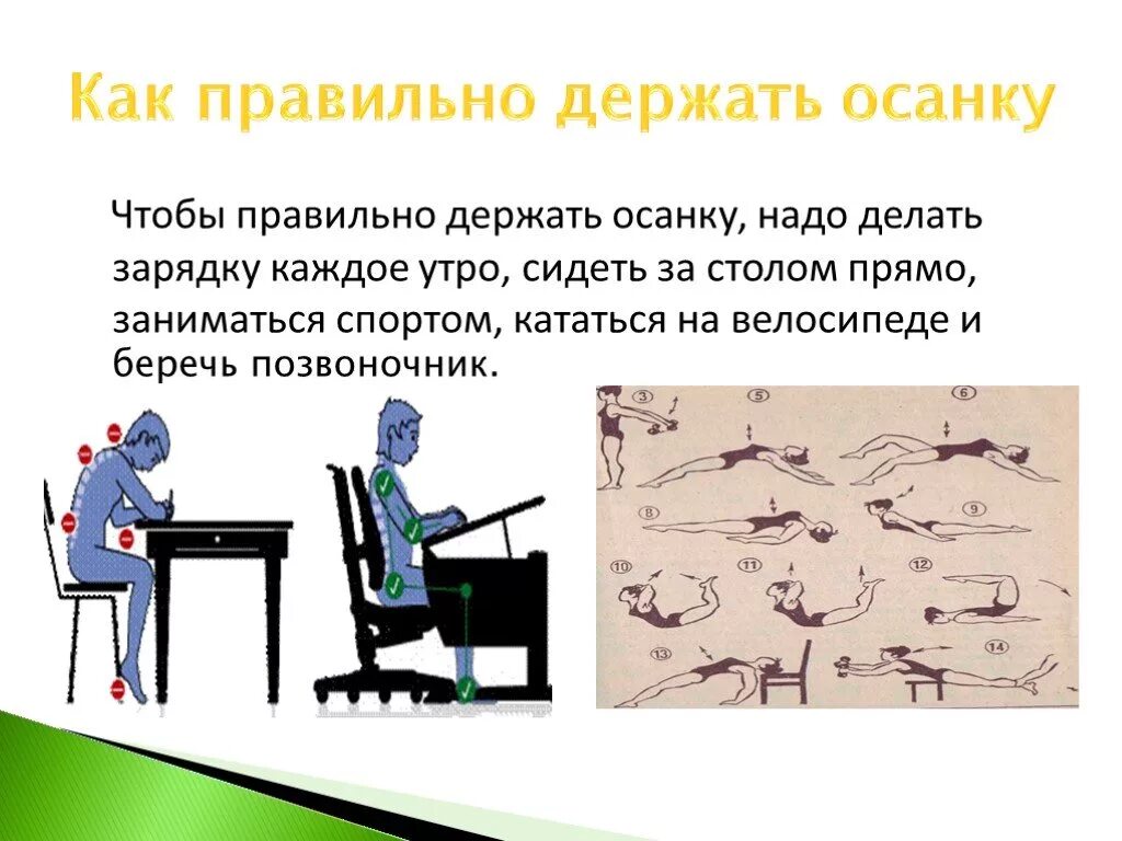 Как держать осанку. Как правило держать осанку. rfr ghfdbkmyj держать осанку. как правильно держать осанку картинки. держите правильную осанку.