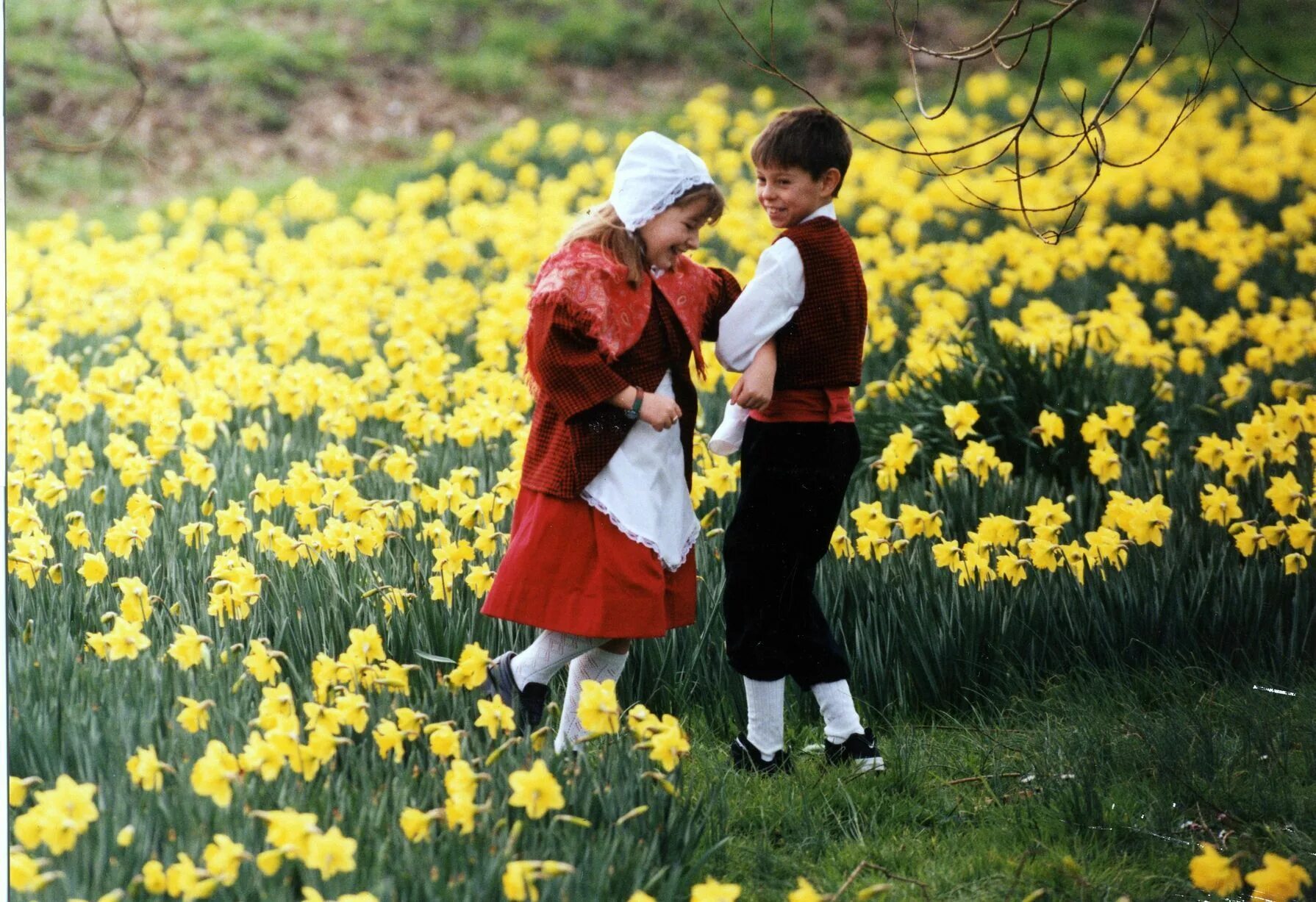 St David s Day Wales. Валлийцы день Святого Давида. Нарцисс Уэльс. День святого в уэльсе