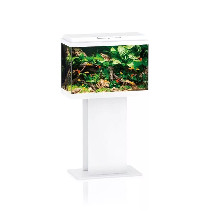 Аквариум ювель 125. Juwel primo 60 led. Juwel primo. Juwel primo 110. Juwel 100.