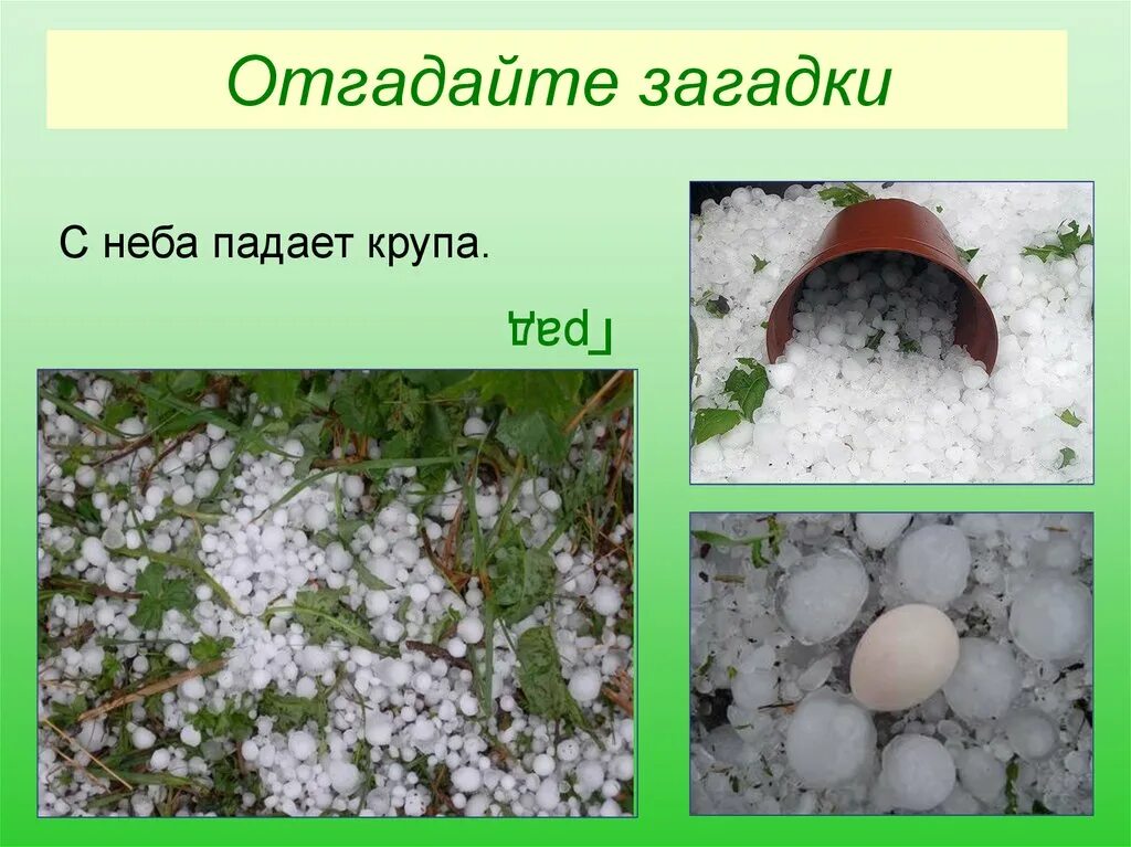 Загадки про цифры. Загадки отгадывать загадки. Разбор загадки около проруби сидят белые голуби. Около прорубя сидели белые голуби. Угадывать загадки.