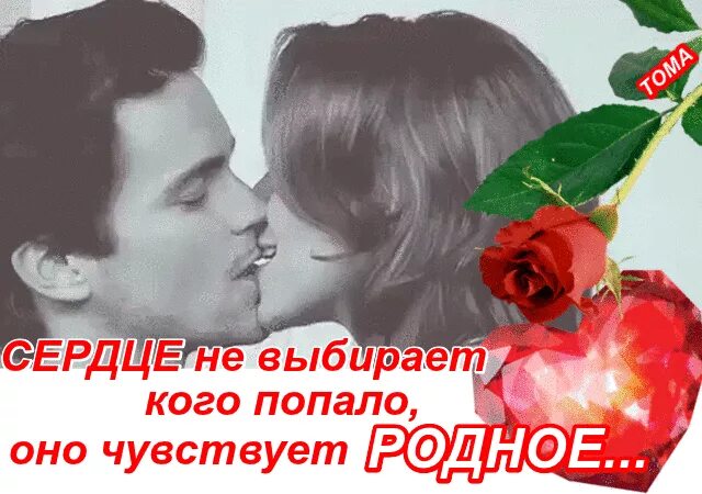 Сердцу ведь не прикажешь. Сердце не выбирает оно чувствует родное. сердцу не прикажешь кого любить. сердце не выбирает. сердце не выбирает кого попало оно чувствует.