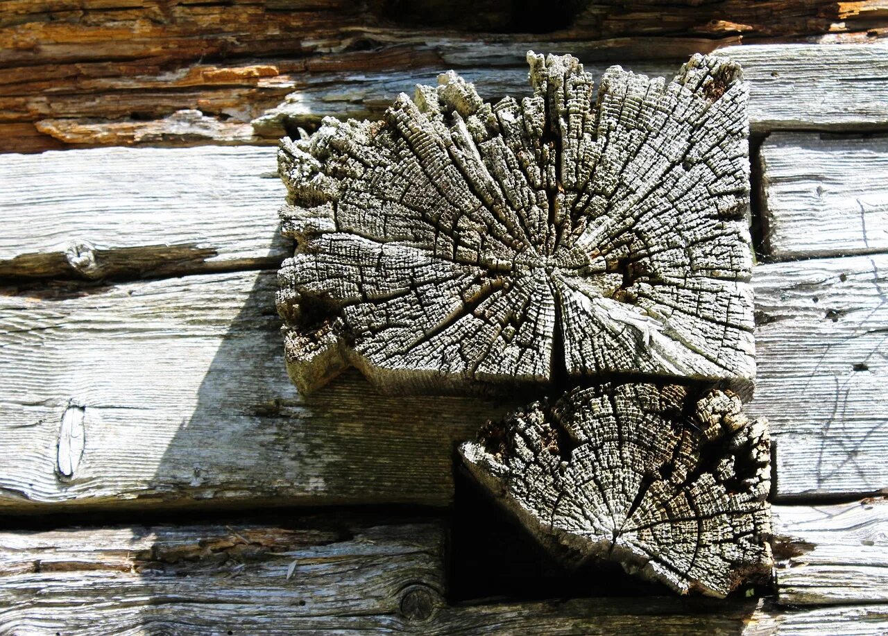 Старые руны в книгах. Дерев дневник очень. Дерев дневник очень. Дерев дневник очень. Деревянный дневник.