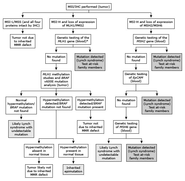 Testing algorithm