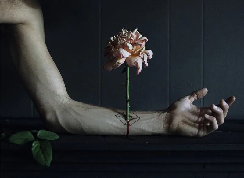 Рука в крови держится. Цветок на руку.. Человек с цветком в руке. Эстетичные цветы в руке.