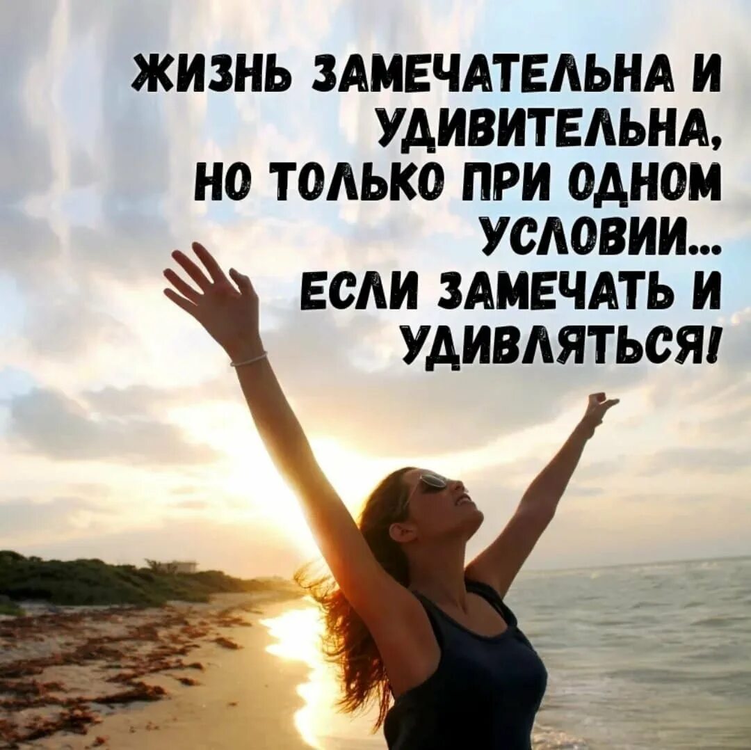 Мы все живем не замечая