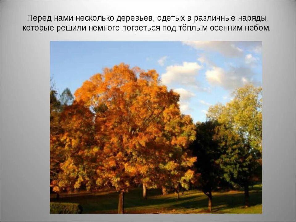 Прилагательные небо осенью. Разные периоды осени. деревья надели или одели. деревья осенью надевают. презентация на тему теплая осень.