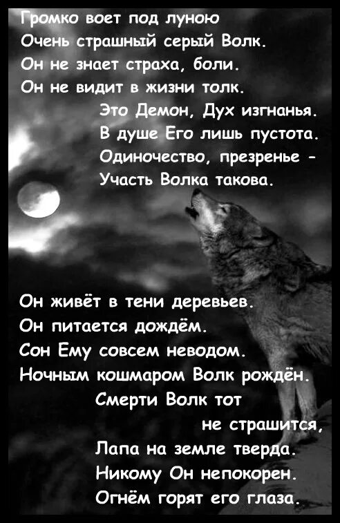 Стих про волка. Волки стихи грустные. Стихотворение про волка до слез. Стих про волка до слез. Вою под луной песня