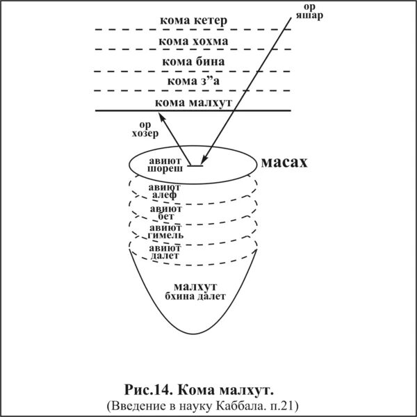 древо сефирот каббала. еврейское таро. нецах. малхут в каббале. круги малхут.