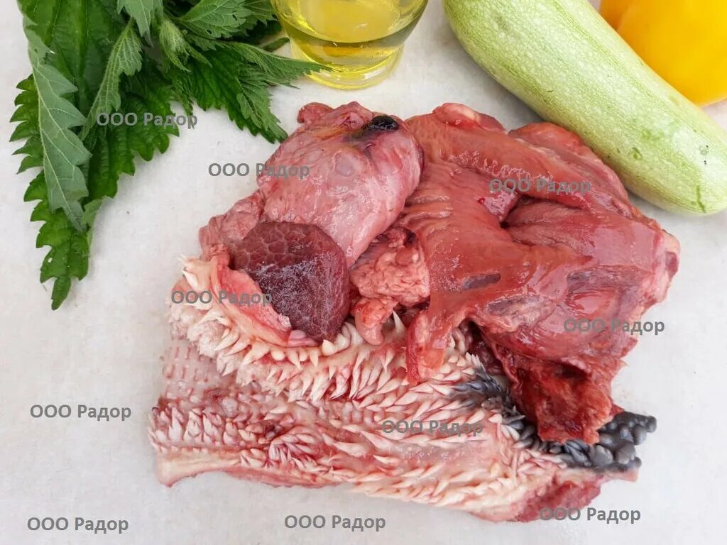 радор для собак. Mr. барьер для собак аджилити. ооо радор еда для собак. стронгхолд капли для собак 5,1-10,0 кг, 1 пипетка.